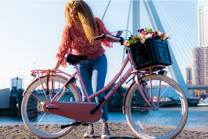 Altec Dutch Transportfiets Dames 28 inch 50cm 3v 8