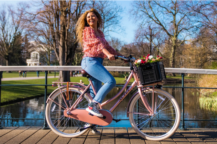 Altec Dutch Transportfiets Dames 28 inch 50cm 3v 8