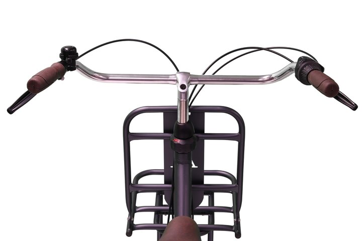 Altec Retro Transportfiets 28inch Dames 53cm 3v 3