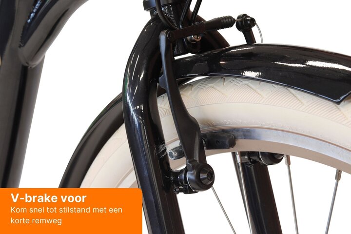 Altec Sweet Moederfiets 28 inch 50 cm 3v 13