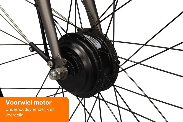 Altec Cosmos X E-Bike Dames 28 inch 52cm 7v 6