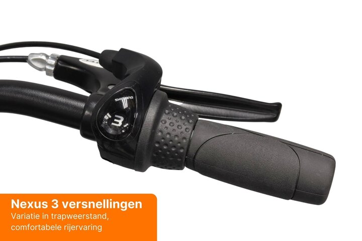 Altec Walesa Damesfiets 28inch 55cm Mat Zwart 3v 11