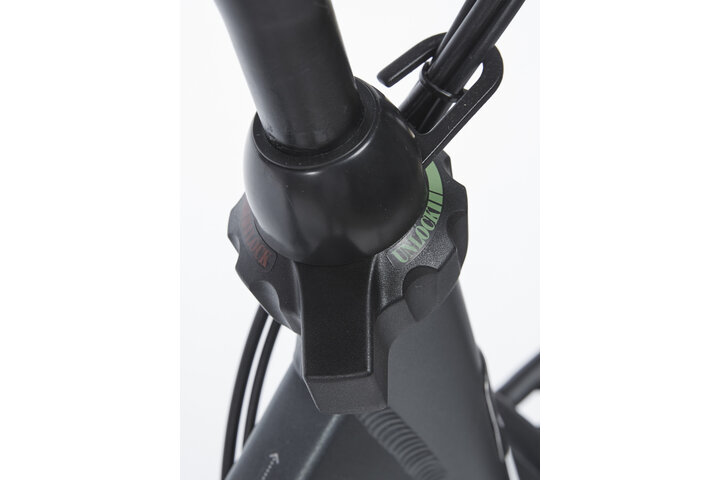 Cortina E-Common Family Moederfiets Bosch Active Line Plus 28 inch 50cm DB7 10