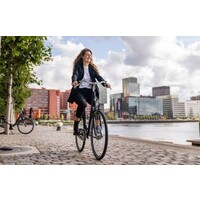 Voorjaassale