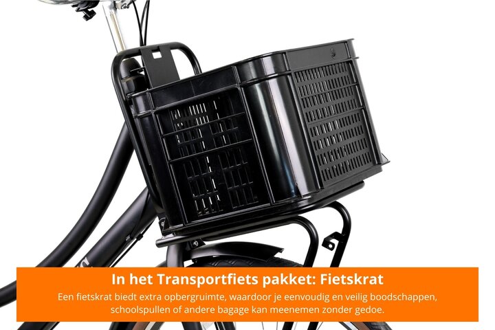 Altec Retro Transportfiets 28inch Dames 53cm 3v 14