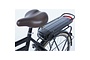 E-U4 Elektrische Transportfiets 28 inch RB7 8 klein