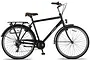 Altec Metro Herenfiets 28 inch 55cm 7v 1 klein