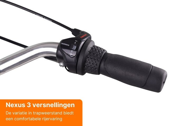 Altec Retro Transportfiets Heren 28 inch 57cm 3v 5