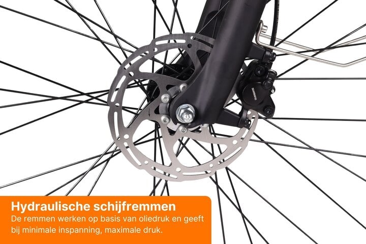 Altec Omega Plus Herenfiets 28 inch Mat Zwart 55cm 7v 5