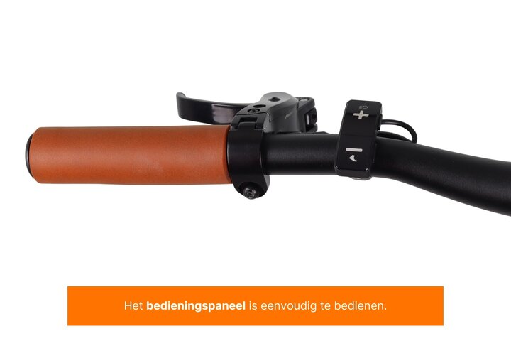 Altec Dance Elektrische Damesfiets 28 inch 48cm Belt 8