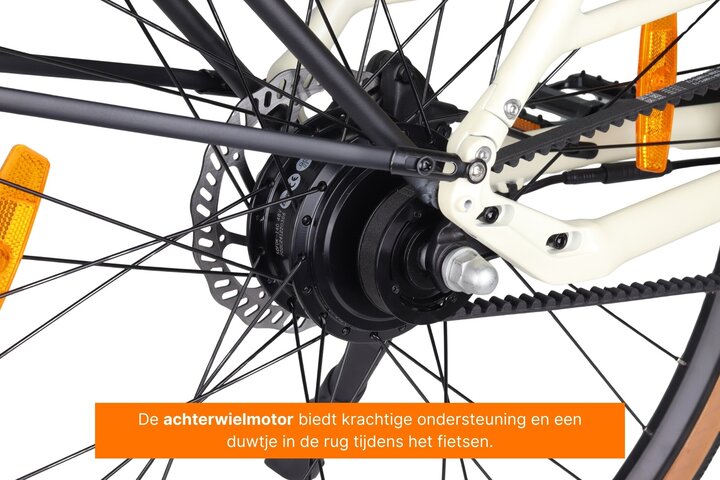 Altec Dance Elektrische Damesfiets 28 inch 48cm Belt 10