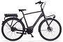 Cortina E-Common Herenfiets Bosch Active Line Plus 28 inch Demitasse Matt DB7 Belt 1 klein