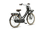 Altec Dutch Kinderfiets Transport 24 inch 6 klein