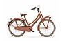 Cortina U4Mini Transportfiets 24 inch R3 4 klein