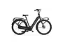 Cortina E-Common Integrated Family 28 inch Enviolo 61cm 1 klein