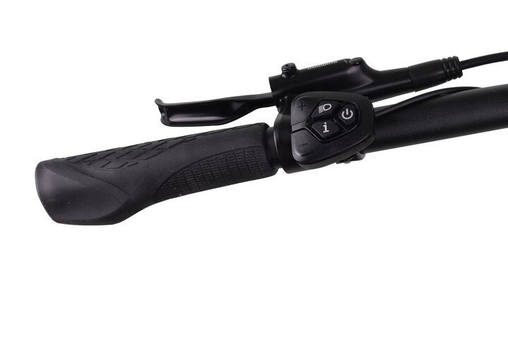 Altec Avia Elektrische Damesfiets 28 inch 50cm 8v 6