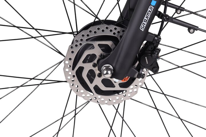 Altec Avia Elektrische Damesfiets 28 inch 50cm 8v 10