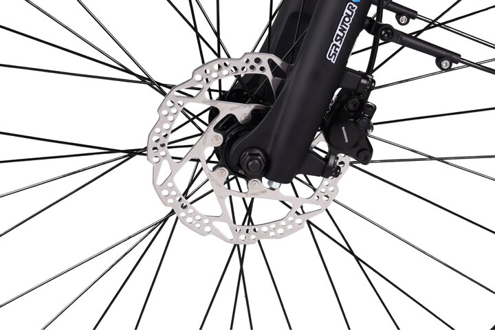 Altec Strada Elektrische Damesfiets 28 inch 8v 10