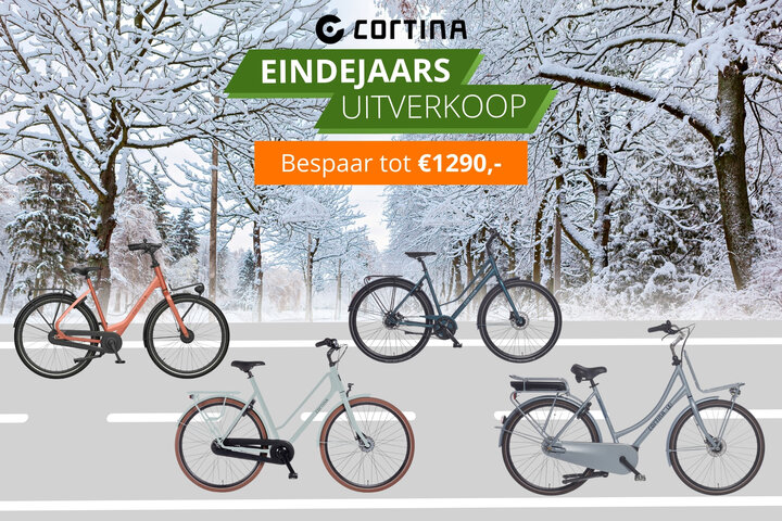 E-U4 Elektrische Transportfiets 28 inch 57cm RB7 3