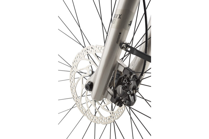 Pegasus Ravenna EVO NV Belt Elektrische Damesfiets 50cm Enviolo 2