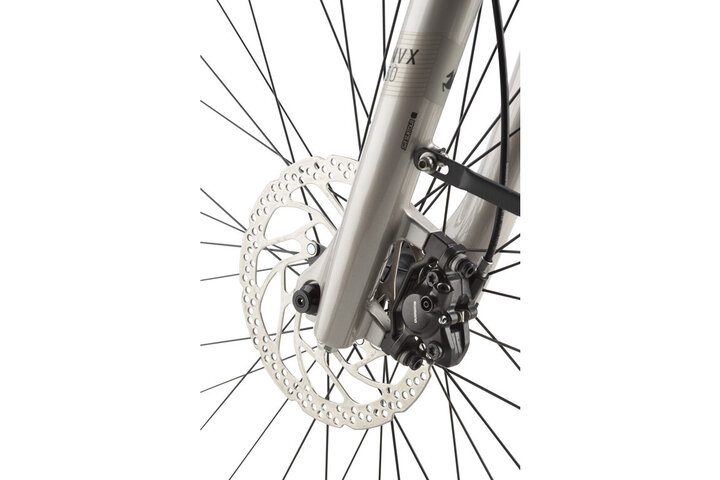 Pegasus Ravenna EVO NV Belt Elektrische Damesfiets 55cm Enviolo 2