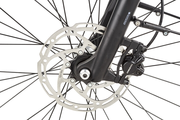 Pegasus Siena E7F Belt Elektrische Damesfiets 50 cm 7v 6