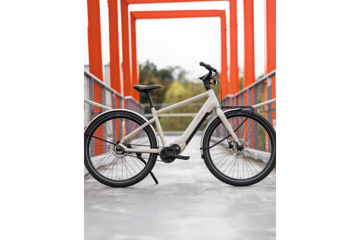 Pegasus Versario Evo Elektrische Herenfiets 28 inch 50cm Belt 5v 10