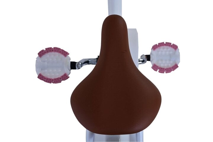 Volare Blossom Kinderfiets Meisjes 16 inch 6