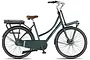 Altec Troja Elektrische Transportfiets 28 inch Hydraulische Schijfrem 53cm 7v 4 klein