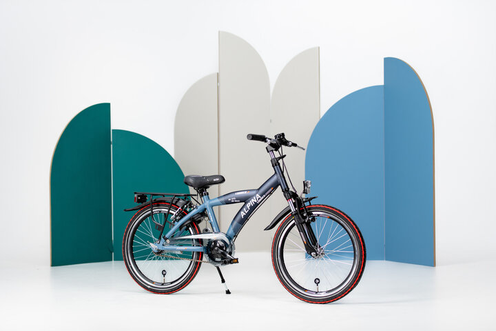 Alpina Yabber Jongensfiets 22 inch 5