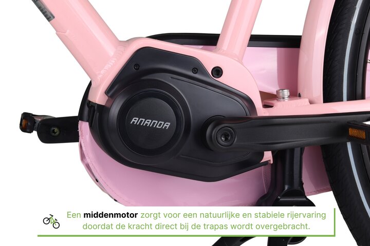 Altec Troja Elektrische Transportfiets 28 inch Hydraulische Schijfrem 53cm 7v 10