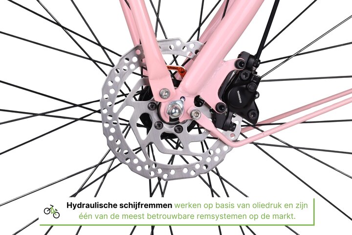 Altec Troja Elektrische Transportfiets 28 inch Hydraulische Schijfrem 53cm 7v 12