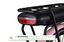 Altec Troja Elektrische Transportfiets 28 inch Hydraulische Schijfrem 53cm 7v 17 klein