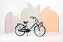 Alpina Clubb Kinderfiets Transport 24 inch R3 10 klein