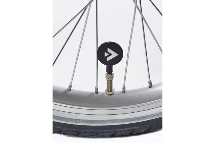 Alpina Clubb Kinderfiets Transport 20 inch 8