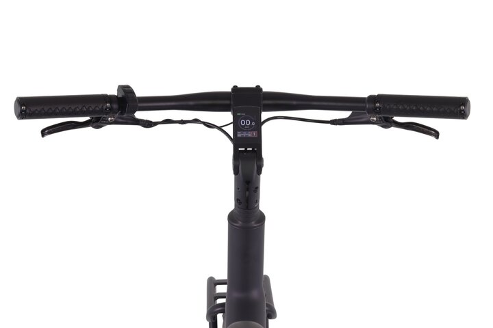 Altec X9 Elektrische Damesfiets 28 inch 50cm Belt 4