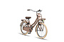 Altec Urban Kinderfiets Transport 22 inch 7 klein