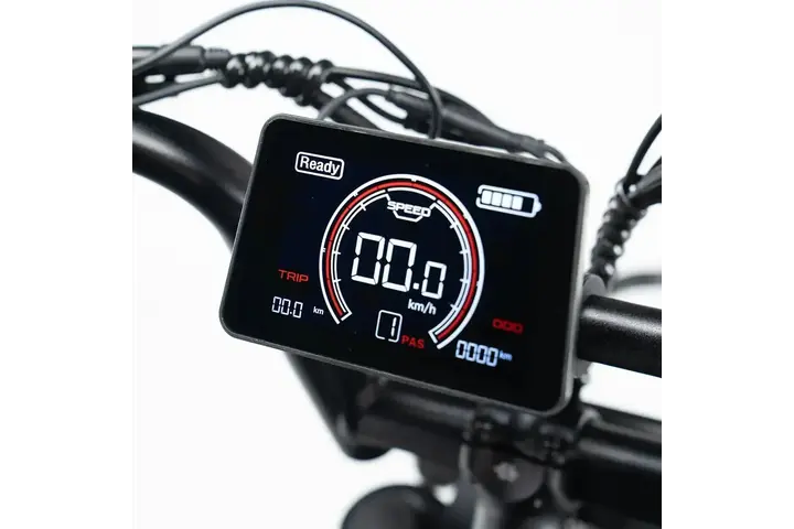 RSE Fatbike 20 inch 7v 7