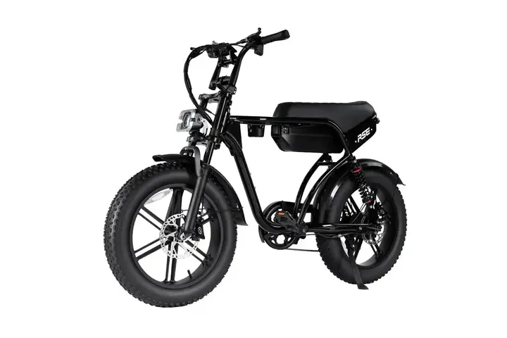 RSE Fatbike 20 inch 7v 3