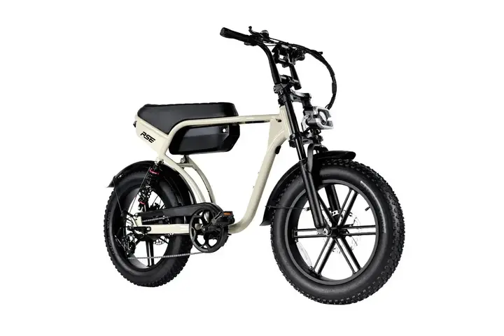 RSE Fatbike 20 inch 7v 6