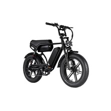 RSE RSE Plus Fatbike 20 inch 7v