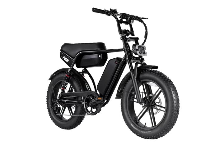 RSE Plus Fatbike 20 inch 7v 1