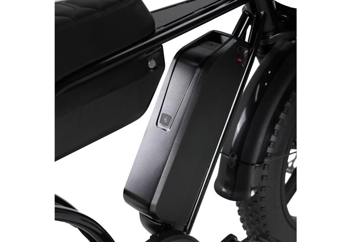 RSE Plus Fatbike 20 inch 7v 3