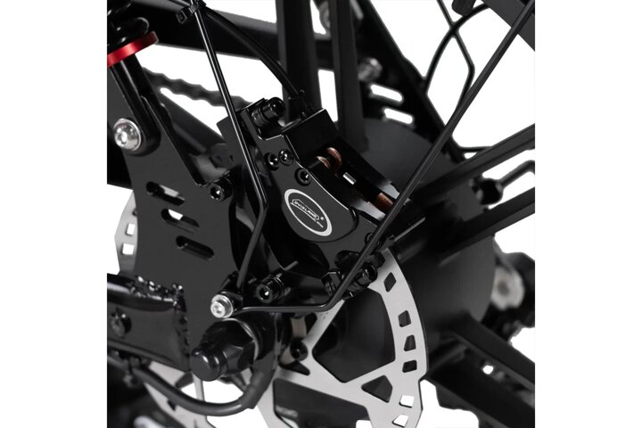 RSE Plus Fatbike 20 inch 7v 5