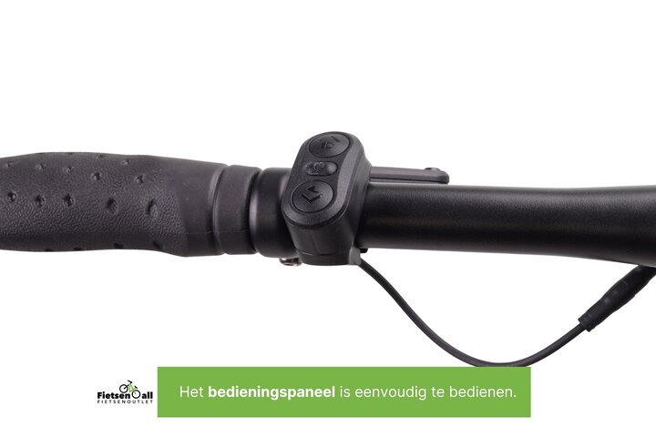 Altec Dynamic Elektrische Damesfiets 28 inch 48cm Belt 7v 6