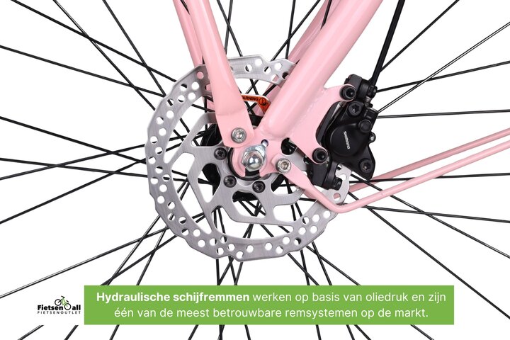 Altec Troja Elektrische Transportfiets 28 inch Hydraulische Schijfrem 53cm 7v 12