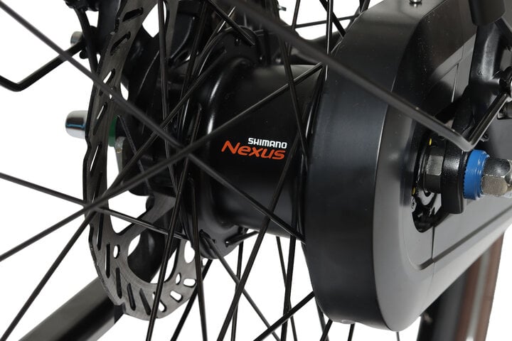 Altec Ciro Elektrische Damesfiets 28 inch 50cm 7v 15