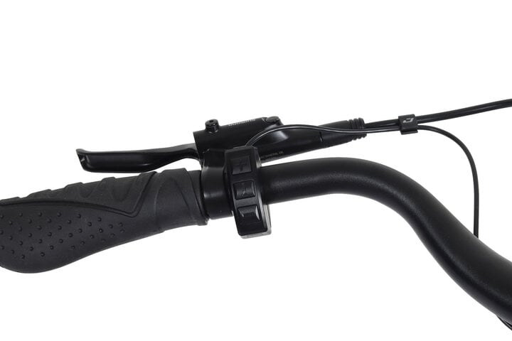 Altec Vybe Elektrische Damesfiets 28 inch 50cm 8