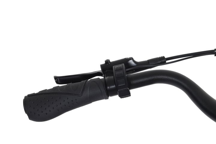 Altec Ciro Elektrische Damesfiets 28 inch 55cm 7v 7