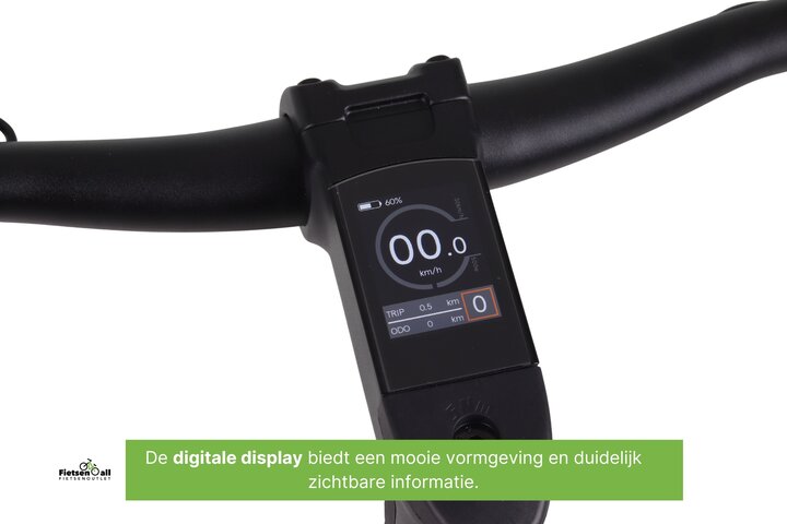 Altec Dance Elektrische Damesfiets 28 inch 48cm Belt 15